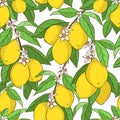 Seamless pattern with lemons