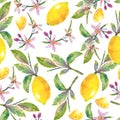 Seamless pattern Lemons with green leaves, lemon slices and flowers.