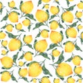 Seamless pattern Lemons. Hand painted watercolor. Handmade fresh food design elements isolated Royalty Free Stock Photo