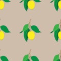 Seamless pattern with lemons  isolated on light brown background. Yellow fresh Fruits with green leaves. Summer design. Royalty Free Stock Photo