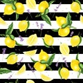Seamless pattern with lemons, leaves and lavender, watercolor painting. Royalty Free Stock Photo