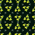 Seamless pattern of lemons and limes citrus fruits on a black  background. Vector with swatch Royalty Free Stock Photo