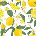 Seamless pattern with lemons, whole and cut into pieces, flowers and leaves on white background. Backdrop with citrus