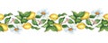 Horizontal pattern lemons and daisies watercolor Royalty Free Stock Photo