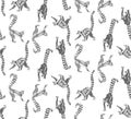 Seamless pattern lemurs Madagascar. Royalty Free Stock Photo
