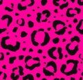 Seamless pattern of leopard fur print on pink Royalty Free Stock Photo