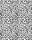 Seamless pattern of leopard