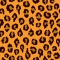 Seamless pattern - leopard print Royalty Free Stock Photo