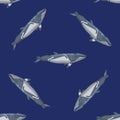 Seamless pattern lesser rorqual on blue background. Template of cartoon character of ocean for fabric Royalty Free Stock Photo