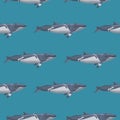 Seamless pattern lesser rorqual on blue background. Template of cartoon character of ocean for fabric Royalty Free Stock Photo