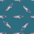 Seamless pattern lesser rorqual on teal background. Template of cartoon character of ocean for fabric Royalty Free Stock Photo