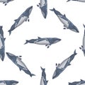 Seamless pattern lesser rorqual on white background. Template of cartoon character of ocean for fabric Royalty Free Stock Photo