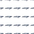 Seamless pattern lesser rorqual on white background. Template of cartoon character of ocean for fabric Royalty Free Stock Photo