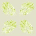 Seamless pattern with lettuce