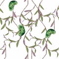 Seamless pattern with liana and leaves and green Chameleon. Illustration on white background.