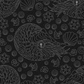 Seamless illustration with light contour nautilus, shells and fish, outline animals on a dark background