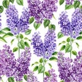 Seamless pattern with lilac flowers and leaves. Watercolor violet Flora for wallpapers. Spring background Royalty Free Stock Photo