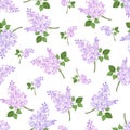 Seamless pattern with lilac flowers. Vector illustration. Royalty Free Stock Photo