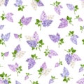 Seamless pattern with lilac flowers. Vector illustration. Royalty Free Stock Photo