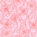 Seamless pattern. Lilies on pink background. Vector Royalty Free Stock Photo