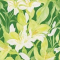 seamless pattern with lilies water color lily elegant green whitegreen bamboo background seamless watercolor
