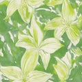 seamless pattern with lilies water color lily elegant green whitegreen bamboo background seamless watercolor