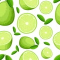 Seamless pattern of lime and slices of limes. Vector illustration of limes. Vector illustration for decorative poster, emblem natu