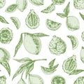 Seamless pattern with limes, bergamots and leaves on white background. Design of endless repeatable texture with green