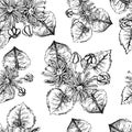 Seamless pattern with linden flowers.