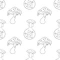 Seamless pattern, line art, fly mushroom, potion occultism magic