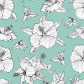 Seamless pattern with line art monochrome hibiscus flowers, buds and leaves, with black outline. On turquoise background Royalty Free Stock Photo