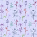 Seamless pattern with line drawing herbs