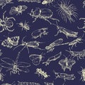 Seamless pattern with line drawing insects Royalty Free Stock Photo