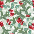 Seamless pattern with Lingonberries and mint sprigs. Peppermint, forest ripe berries. Fragrant greens and juicy red Royalty Free Stock Photo