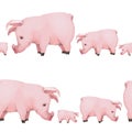 Seamless pattern with little cute piglets on white background. pig family. symbol of 2019