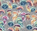 Multicolored jellyfishes Royalty Free Stock Photo