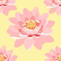 Seamless pattern lotus flower pink close up