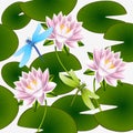 Seamless pattern with lotus flowers, leaves and dragonflies.