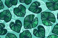 Seamless pattern with lotus leaves on the turquoise background. Pond. Background in the Chinese style. Hand drawn.