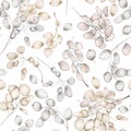 Seamless pattern of Lunaria rediviva branches