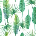 Seamless pattern with lush greenery of tropical plants Royalty Free Stock Photo