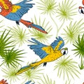 Seamless pattern with macaw parrots and palm leaves.