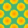 Seamless pattern made from dandelion yellow flowers on green background.