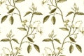 Seamless pattern made of pencil sketched rose branch