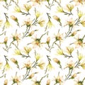 Seamless pattern made of yellow magnolia flowers on a branch on white background. Watercolor painting. Hand painted. Royalty Free Stock Photo