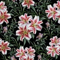 Seamless pattern from magnificent Olympic lilies. Black background.