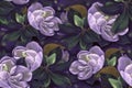 Seamless pattern. Magnolia. Drawing pastel. Flowers on the tree. Wallpaper. Tulip tree. Royalty Free Stock Photo