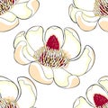Seamless pattern Magnolia obovate flower in bloom. vector illustration Royalty Free Stock Photo
