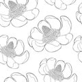 Seamless pattern Magnolia obovate flower in bloom. vector illustration Royalty Free Stock Photo