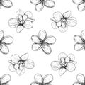 Seamless pattern magnolia and plumeria, drawing spring flowers isolated on white background. Sketch hand drawn Royalty Free Stock Photo